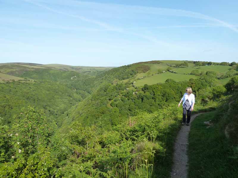 Lynmouth Walk